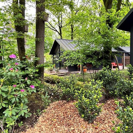 Cosy Tiny Lodges - Vakantiepark Kempenbos Diessen Экстерьер фото